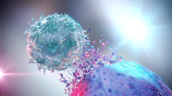 Immune Relevant Mice
